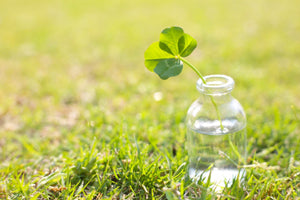 世の中の常識を覆す？！各分野にマイクロバブルが与える影響とは？